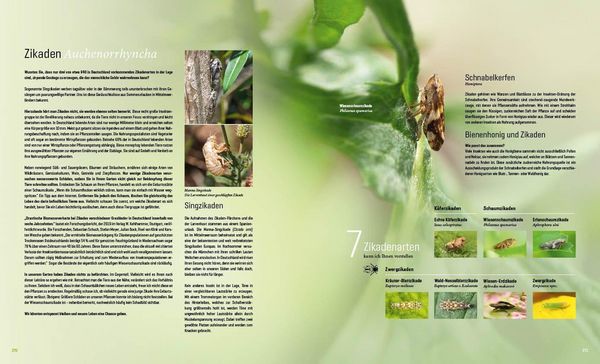 Produktbild: Mein Artenretter Garten