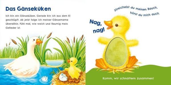 Produktbild: H&ouml;r mal, wie ich schnattern kann (Mein erstes Streichel-Soundbuch 1)