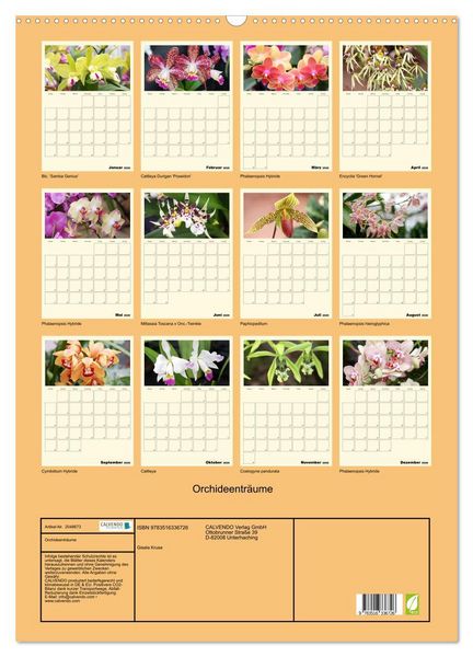 Produktbild: Orchideentr&auml;ume (Wandkalender 2026 DIN A2 hoch), CALVENDO Monatskalender