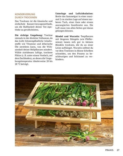 Produktbild: Die Tee-Apotheke