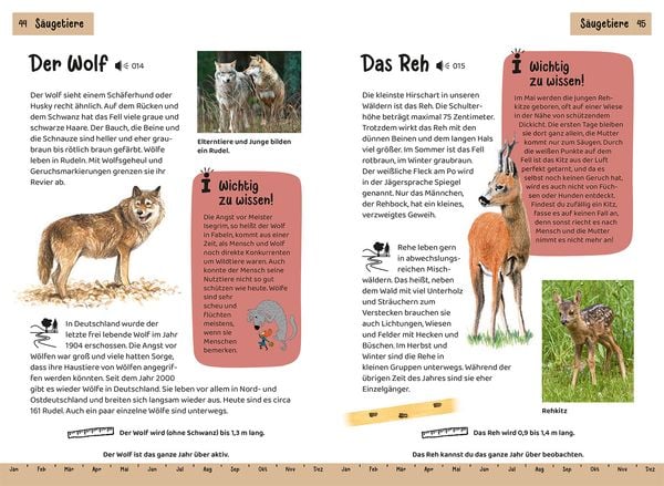 Produktbild: Was lebt im Wald? Kindernaturf&uuml;hrer
