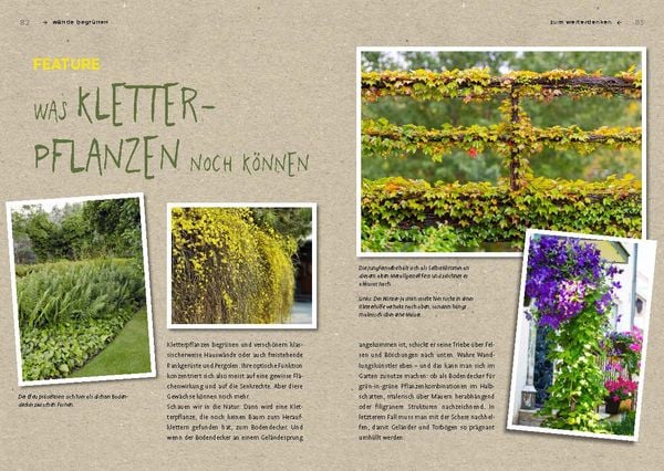 Produktbild: Begr&uuml;nen was geht