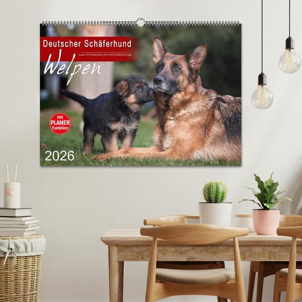 Produktbild: Deutscher Sch&auml;ferhund - Welpen (Wandkalender 2026 DIN A2 quer), CALVENDO Monatskalender