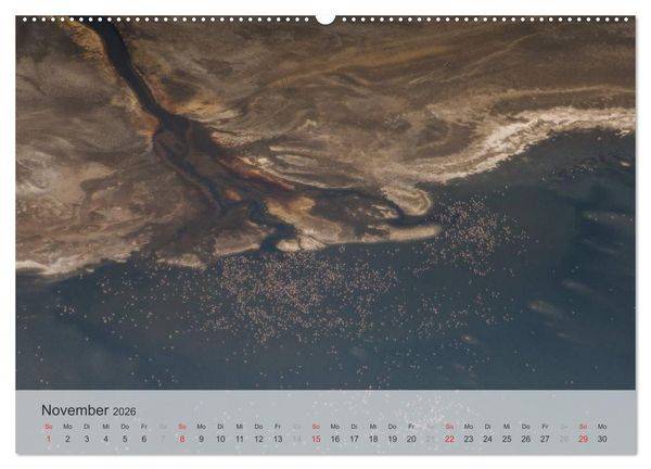 Produktbild: Flamingo Impressionen 2026 (hochwertiger Premium Wandkalender 2026 DIN A2 quer), Kunstdruck in Hochglanz