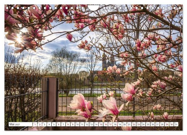 Produktbild: Domperspektiven: Magdeburger Dom - Neu gesehen 2027 (Wandkalender 2027 DIN A4 quer), CALVENDO Monatskalender