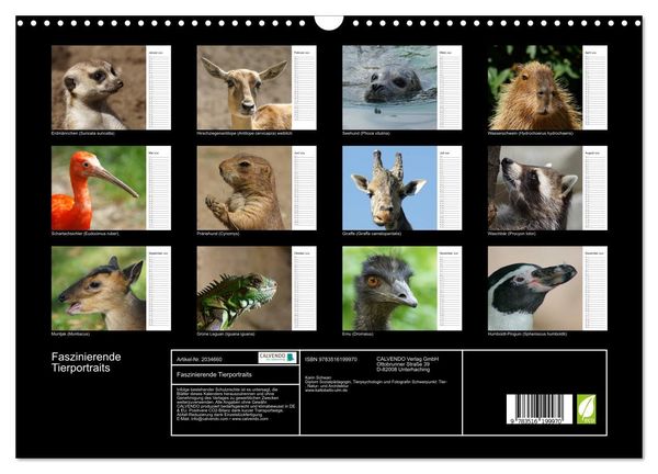 Produktbild: Faszinierende Tierportraits (Wandkalender 2026 DIN A3 quer), CALVENDO Monatskalender