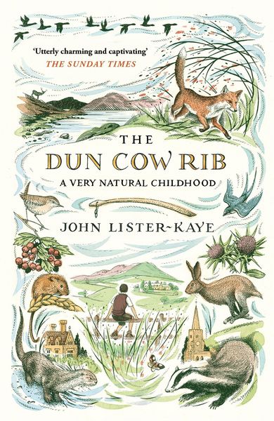 Produktbild: Dun Cow Rib