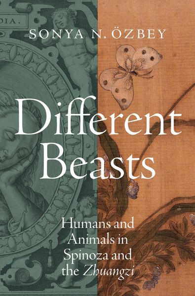 Produktbild: Different Beasts