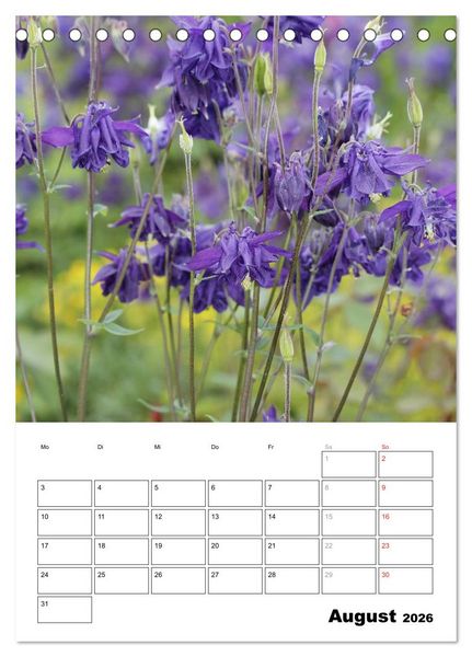 Produktbild: Zauberhafte Akeleien (Tischkalender 2026 DIN A5 hoch), CALVENDO Monatskalender
