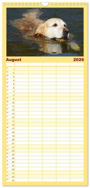 Produktbild: Familienplaner 2026 - Golden Retriever Power mit 5 Spalten (Wandkalender, 21 x 45 cm) CALVENDO