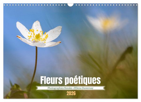 Produktbild: Fleurs po&eacute;tiques (Calendrier mural 2026 DIN A3 vertical), CALVENDO calendrier mensuel