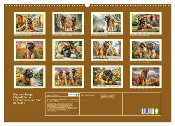 Produktbild: Der Leonberger. Majest&auml;tische L&ouml;wenhunde im Licht der Natur (Wandkalender 2026 DIN A2 quer), CALVENDO Monatskalender