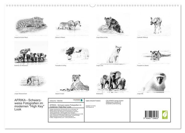 Produktbild: AFRIKA - Schwarz-weiss Fotografien im modernen "High Key" Look (hochwertiger Premium Wandkalender 2026 DIN A2 quer), Kunstdruck in Hochglanz