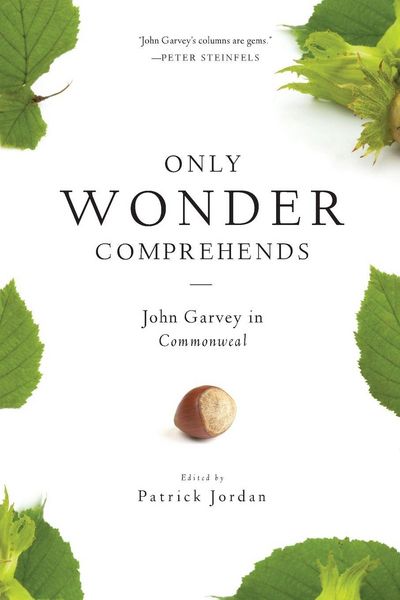 Produktbild: Only Wonder Comprehends