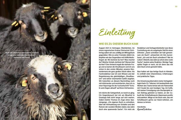 Produktbild: Alles vom Schaf!