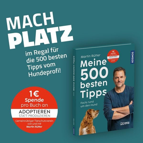 Produktbild: Meine 500 besten Tipps