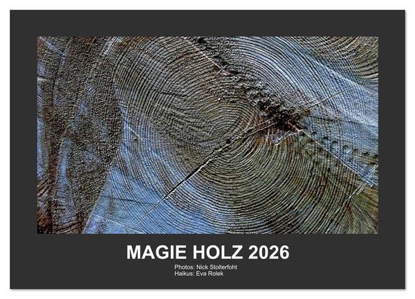 MAGIE HOLZ 2026 (Wandkalender 2026 DIN A3 quer), CALVENDO Monatskalender