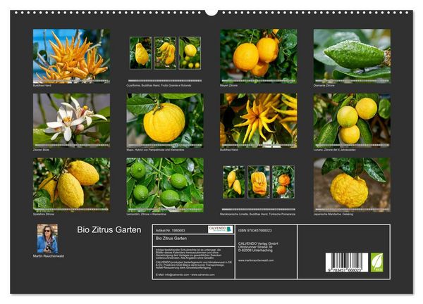 Produktbild: Bio Zitrus Garten (hochwertiger Premium Wandkalender 2026 DIN A2 quer), Kunstdruck in Hochglanz