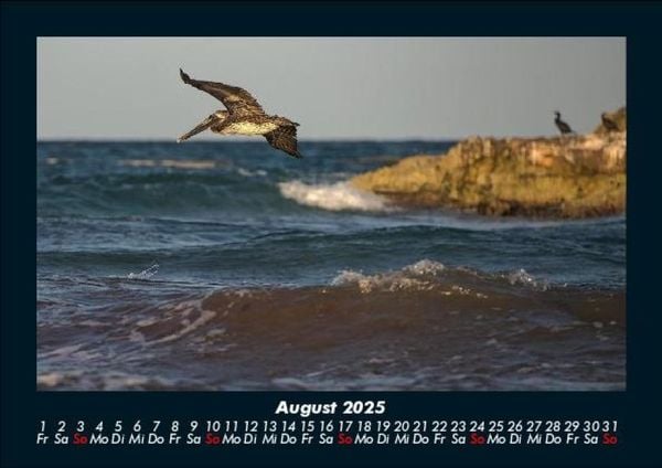 Produktbild: Meereslandschaft 2025 Fotokalender DIN A5