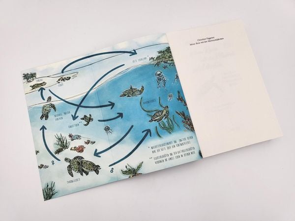 Produktbild: Meine Reise mit den Meeresschildkröten