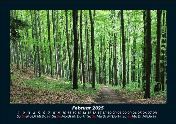Produktbild: Waldzauber 2025 Fotokalender DIN A5