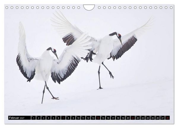 Produktbild: Japanische Vogelwelt im Winter (Wandkalender 2027 DIN A4 quer), CALVENDO Monatskalender