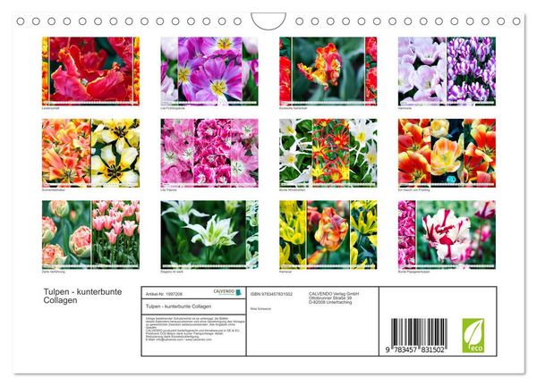 Produktbild: Tulpen - kunterbunte Collagen (Wandkalender 2026 DIN A4 quer), CALVENDO Monatskalender