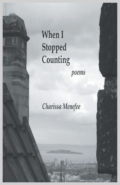 Produktbild: When I Stopped Counting