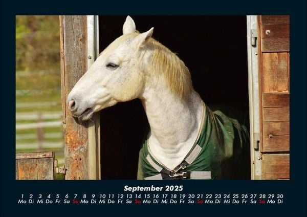 Produktbild: Die Welt der Pferde 2025 Fotokalender DIN A4