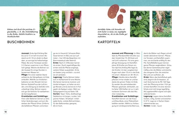 Produktbild: Wenig Zeit und trotzdem Selbstversorger