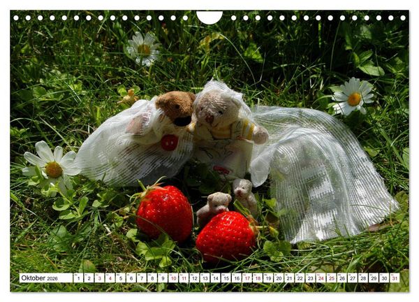 Produktbild: Die Hochzeitsb&auml;rchen (Wandkalender 2026 DIN A4 quer), CALVENDO Monatskalender