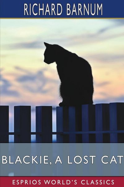 Produktbild: Blackie, a Lost Cat