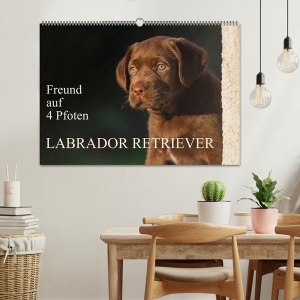 Produktbild: Freund auf 4 Pfoten - Labrador Retriever (Wandkalender 2026 DIN A2 quer), CALVENDO Monatskalender