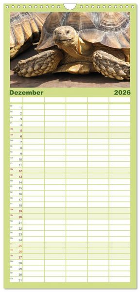 Produktbild: Familienplaner 2026 - Landschildkr&ouml;ten mit 5 Spalten (Wandkalender, 21 x 45 cm) CALVENDO