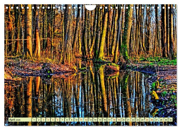 Produktbild: Verwunschene Waldtr&auml;ume: Ein Kalender voller Magie (Wandkalender 2026 DIN A4 quer), CALVENDO Monatskalender