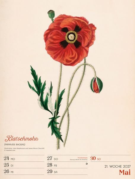 Produktbild: Ars Floralis Wochenplaner Kalender 2027