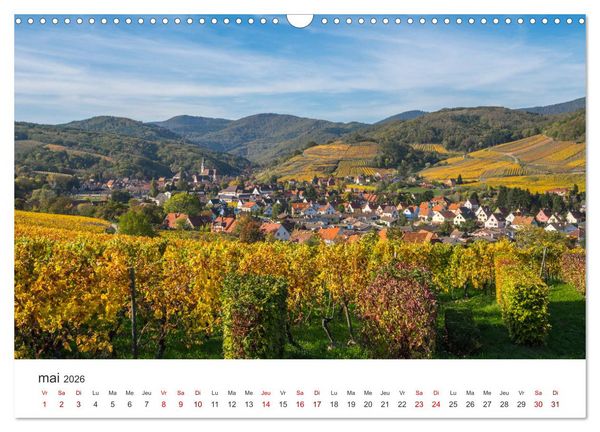 Produktbild: Route des Vins d'Alsace, villages pittoresques et paysages idylliques (Calendrier mural 2026 DIN A3 vertical), CALVENDO calendrier mensuel