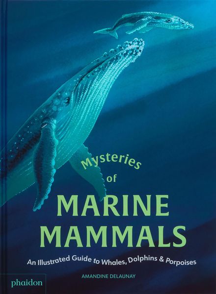 Produktbild: Mysteries of Marine Mammals