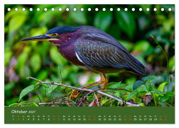 Produktbild: Costa Rica - Naturparadies zwischen Karibik und Pazifik (Tischkalender 2027 DIN A5 quer), CALVENDO Monatskalender