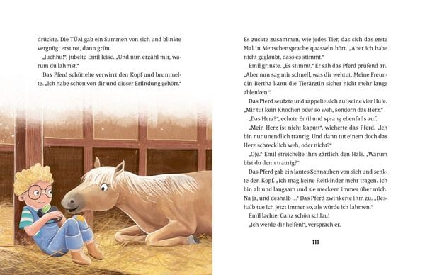 Produktbild: Emil Einstein (Bd. 6)