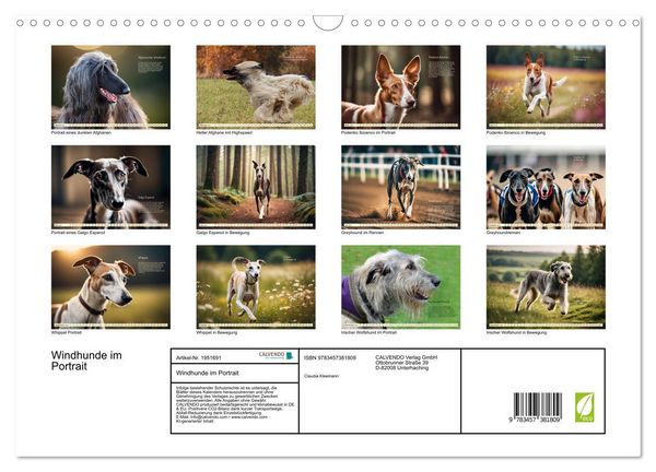 Produktbild: Windhunde im Portrait (Wandkalender 2026 DIN A3 quer), CALVENDO Monatskalender