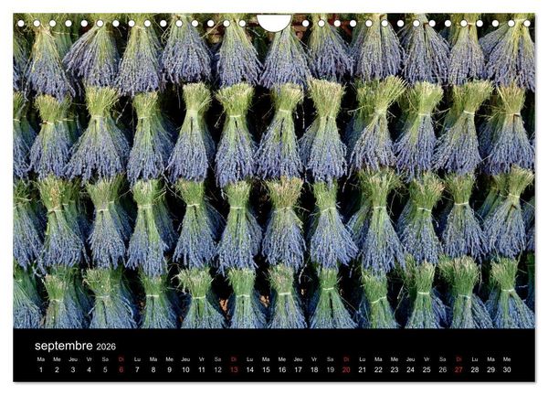 Produktbild: Lavande, l'or bleu de Provence (Calendrier mural 2026 DIN A4 vertical), CALVENDO calendrier mensuel