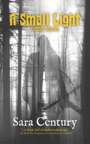 Produktbild: A Small Light & Other Stories