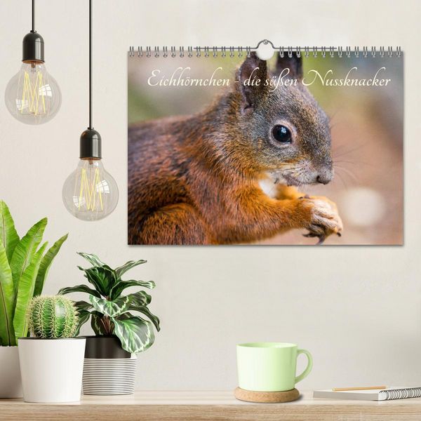 Produktbild: Eichh&ouml;rnchen - die s&uuml;&szlig;en Nussknacker (Wandkalender 2026 DIN A4 quer), CALVENDO Monatskalender
