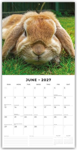 Produktbild: Long Eared Rabbits &ndash; Langohrhasen 2027 &ndash; 16-Monatskalender