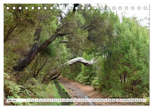 Produktbild: MADEIRA, Trauminsel im Atlantik (Tischkalender 2026 DIN A5 quer), CALVENDO Monatskalender