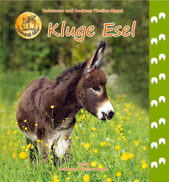 Produktbild: Kluge Esel