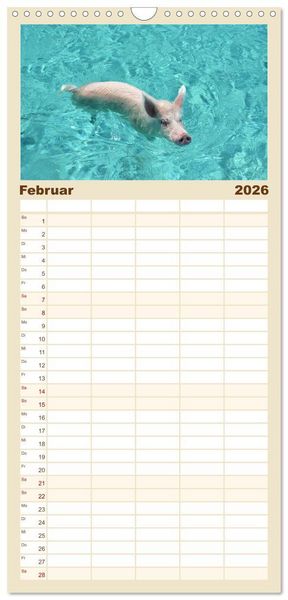 Produktbild: Familienplaner 2026 - Schwimmende Schweine auf den Bahamas! mit 5 Spalten (Wandkalender, 21 x 45 cm) CALVENDO