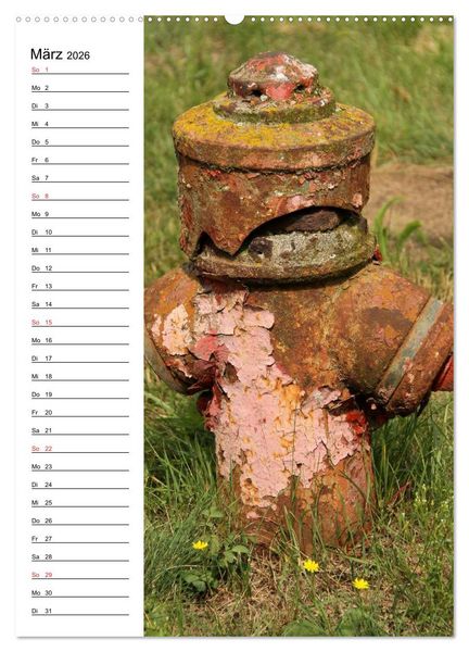 Produktbild: Nostalgie Hydranten (Wandkalender 2026 DIN A2 hoch), CALVENDO Monatskalender
