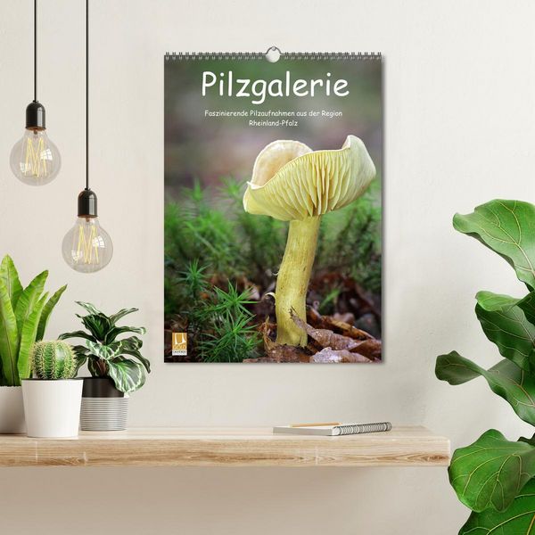 Produktbild: Pilzgalerie - Faszinierende Pilzaufnahmen aus der Region Rheinland-Pfalz (Wandkalender 2026 DIN A3 hoch), CALVENDO Monatskalender